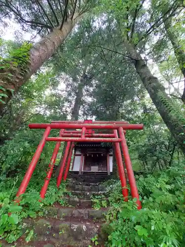 稲荷社（忍野八海　出口池）の鳥居