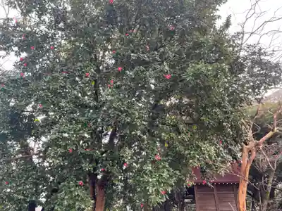 山の神神社の自然
