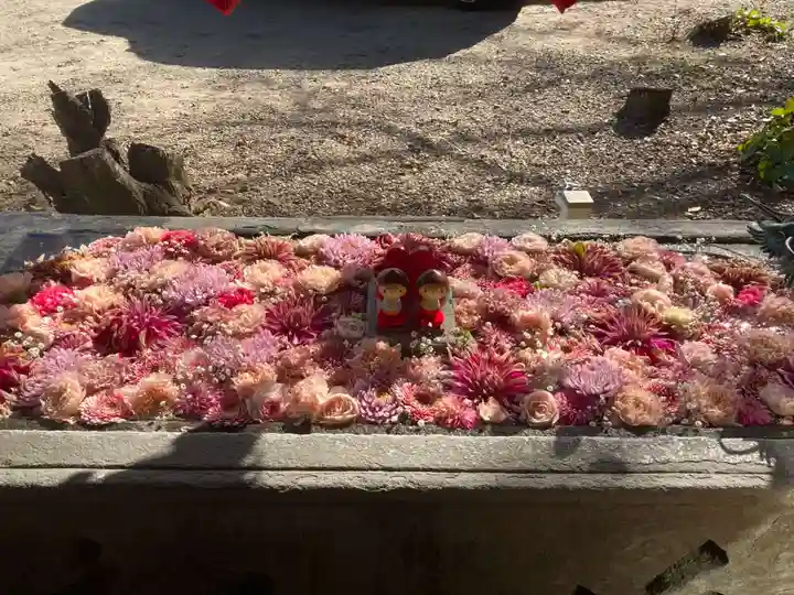 宇佐八幡神社(徳島県)