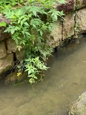小野神社(東京都)