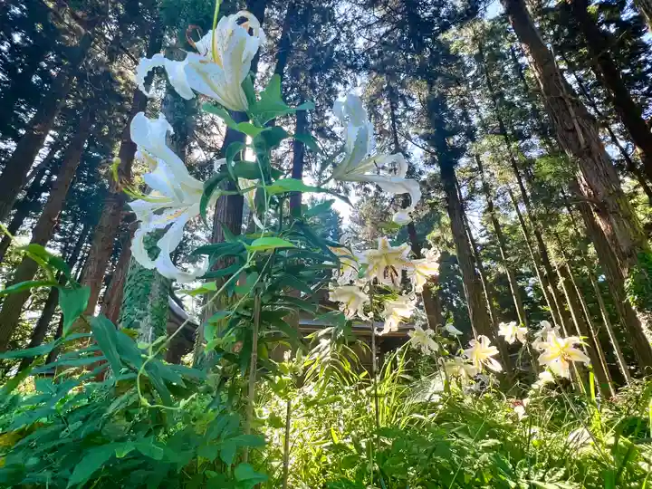 吾妻神社の自然