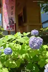 磐井神社(東京都)
