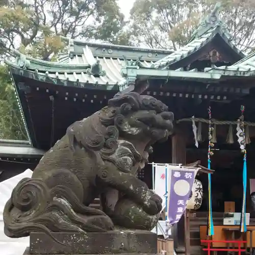 代々木八幡宮の狛犬