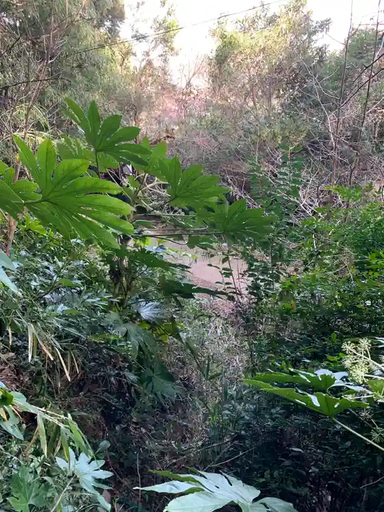山王神社(千葉県)