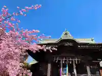 桜神宮の本殿・本堂