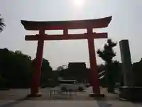 津島神社の鳥居