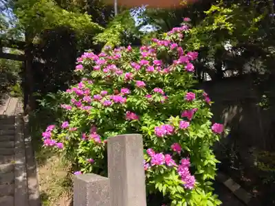 厳島神社(神奈川県)