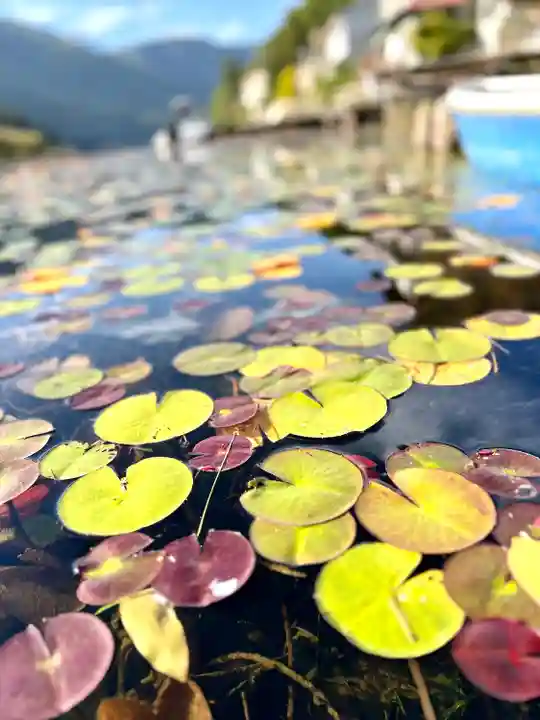 仁科神社(長野県)