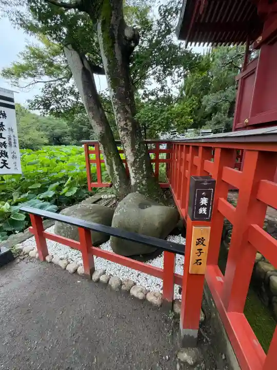 鶴岡八幡宮(神奈川県)