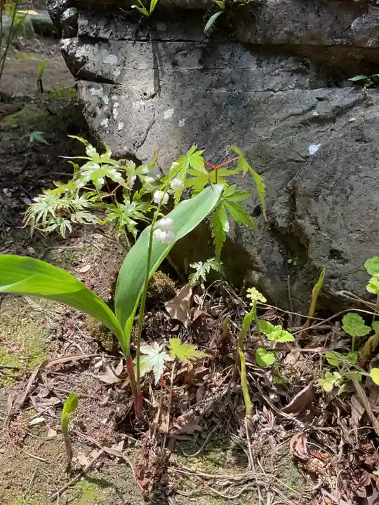 常照院(曼陀羅寺塔頭)(愛知県)