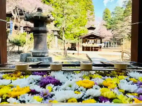 土津神社｜こどもと出世の神さまの手水