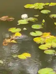 正八幡宮(福岡県)