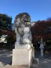 都波岐奈加等神社の狛犬