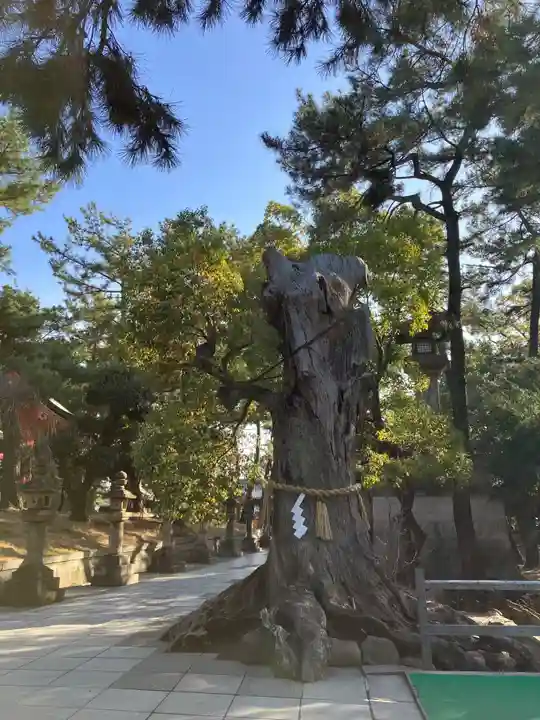 住吉大社の自然