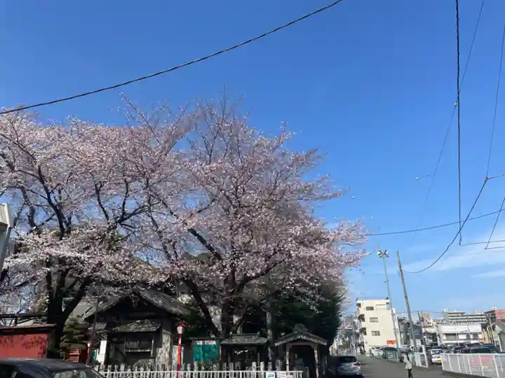 村富神社(神奈川県)