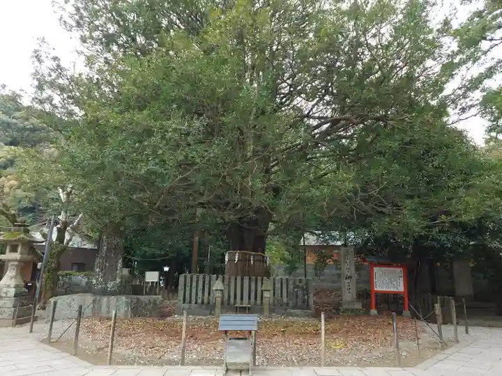 熊野速玉大社(和歌山県)