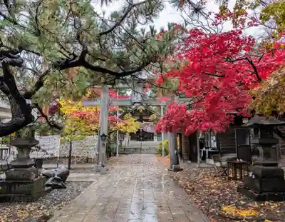 彌彦神社　(伊夜日子神社)の鳥居