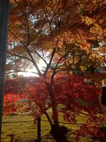 南禅寺(京都府)