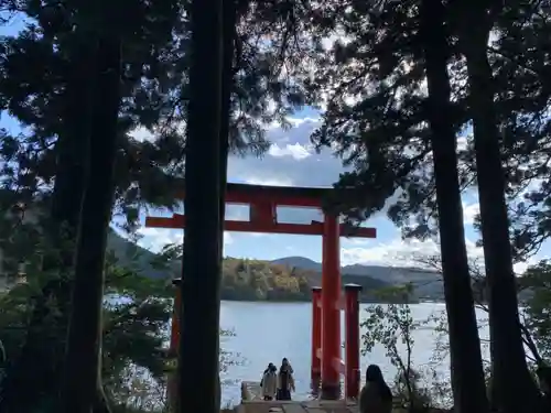 箱根神社の鳥居