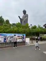 東本願寺本廟 牛久浄苑(牛久大仏)(茨城県)