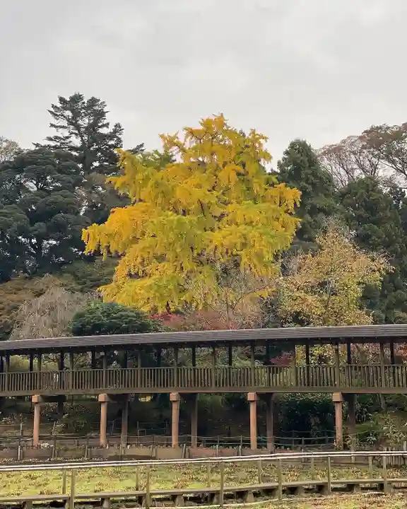 本土寺(千葉県)