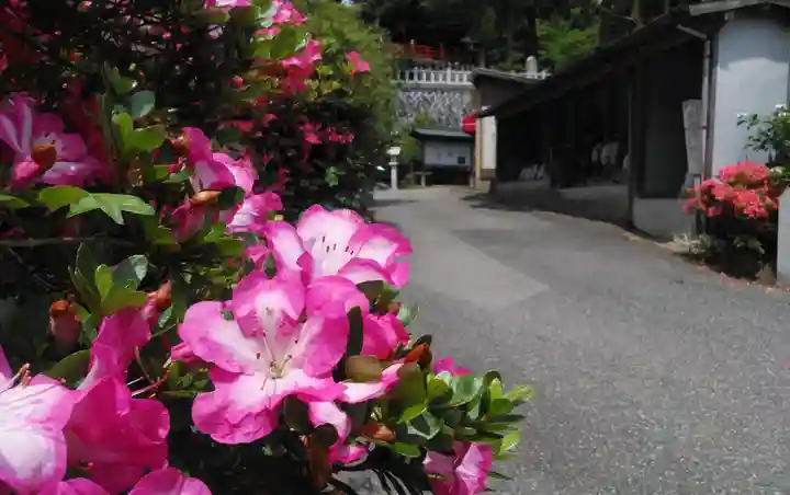 呑山観音寺の自然