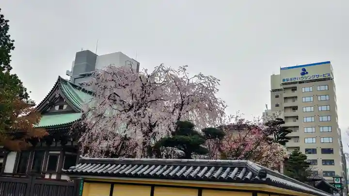 東長寺のその他建物