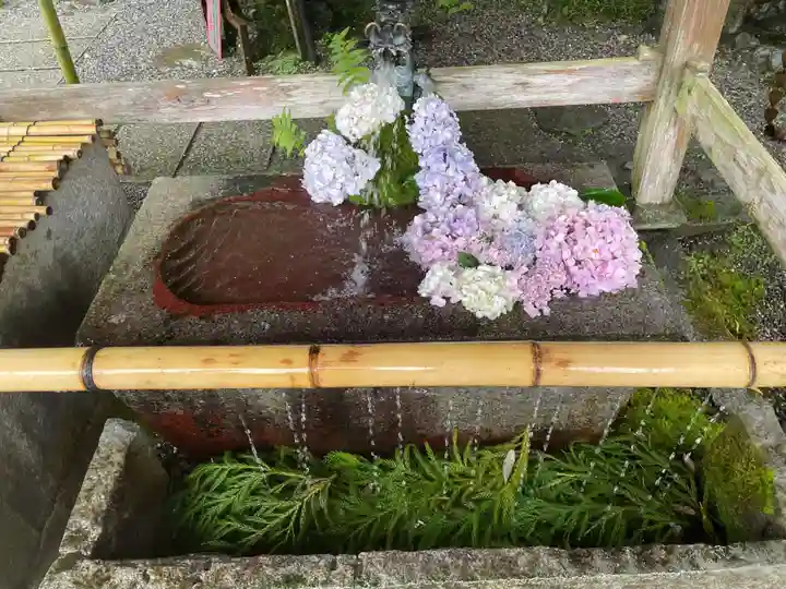 出雲大神宮の手水舎