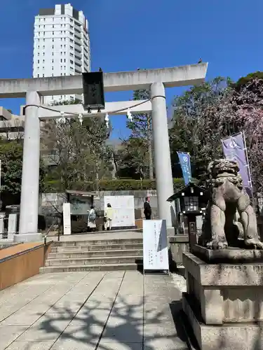 乃木神社の鳥居