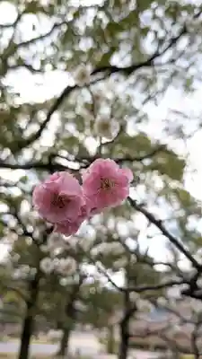  智積院(京都府)