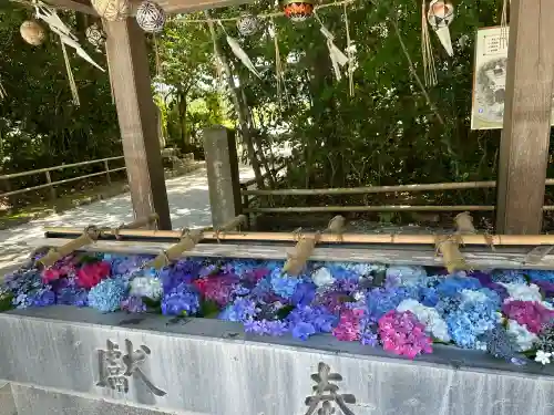 大富神社(福岡県)