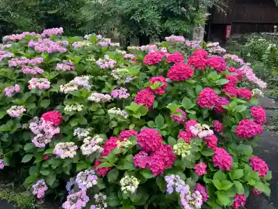 酒見神社(愛知県)