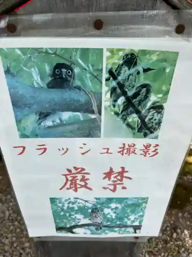 秩父今宮神社(埼玉県)