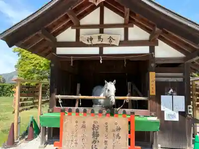 賀茂別雷神社(上賀茂神社)(京都府)