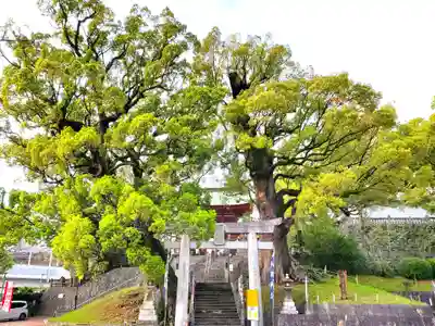 北岡神社の鳥居