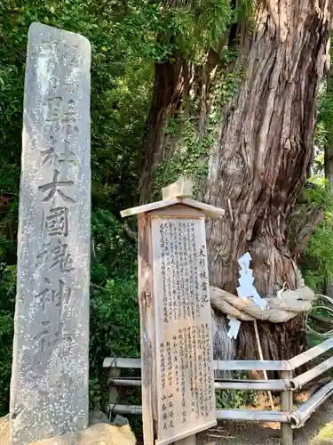 大國魂神社の自然