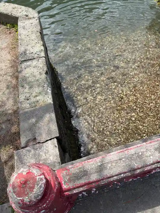 琵琶島神社の{uncategorized: "未分類", other: "その他", undefined: "問題あり", building: "その他建物", grave: "お墓", sacred_gate: "鳥居", guardian: "狛犬", statue: "像", buddha: "仏像", history: "歴史", nature: "自然", garden: "庭園", animal: "動物", pagoda: "塔", temizu: "手水舎", mountain_gate: "山門・神門", sanctuary: "本殿・本堂", subordinate: "末社・摂社", art: "芸術", scenery: "景色", jizo: "地蔵", ema: "絵馬", goshuin: "御朱印", omikuji: "おみくじ", items: "授与品その他", amulet: "お守り", goshuincho: "御朱印帳", eats: "食事", festival: "お祭り", votive_dance: "神楽", shichigosan: "七五三参", wedding: "結婚式", experience: "体験その他", initially: "初詣", around: "周辺", anti_infection: "感染症対策"}