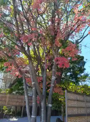 伊勢山皇大神宮(神奈川県)