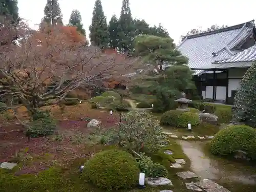 雲龍院の庭園