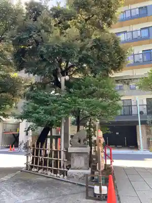 椙森神社の狛犬
