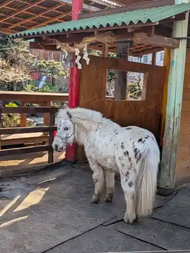 五方山熊野神社(東京都)