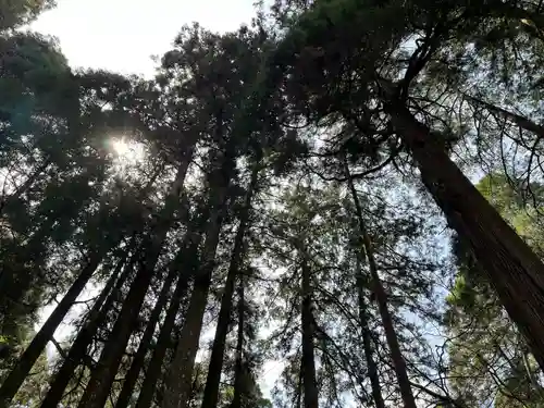 槵觸神社(宮崎県)