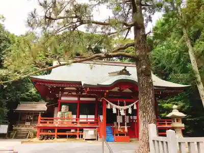 桜ヶ池池宮神社の本殿・本堂