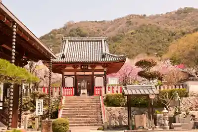 祥雲寺(愛媛県)