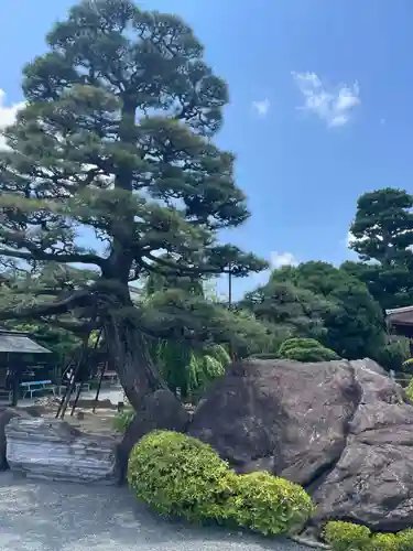 総持寺(大阪府)