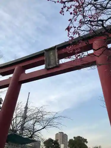 亀戸天神社の鳥居