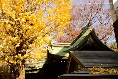 小野照崎神社のその他建物