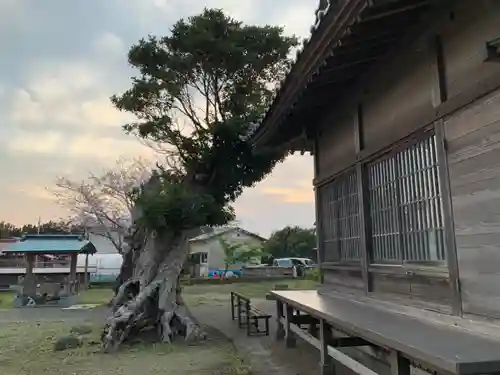 中里八坂神社のその他建物