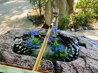 阿智神社の手水舎
