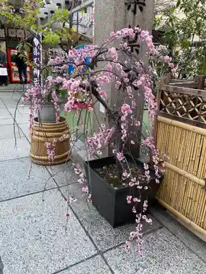 露天神社（お初天神）(大阪府)